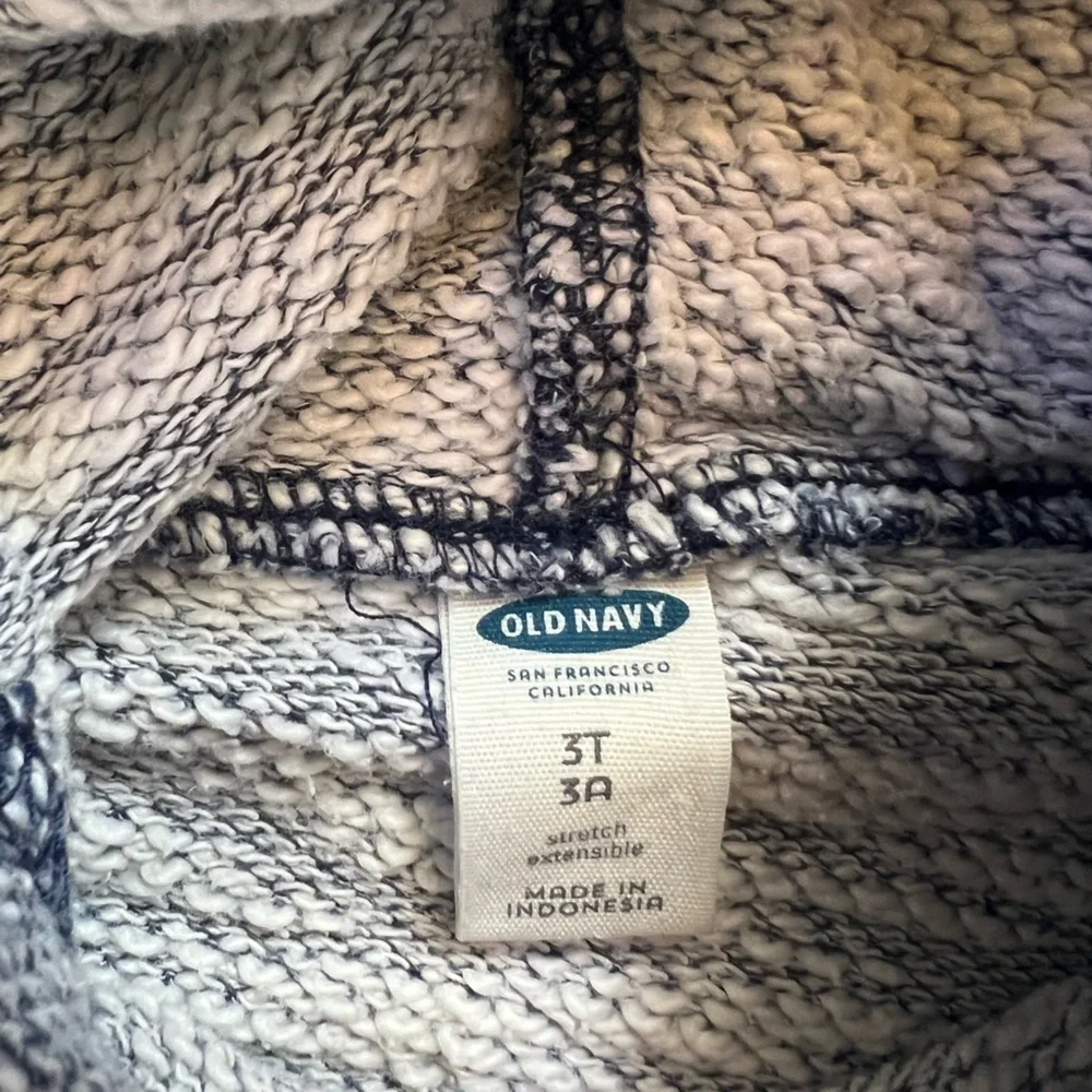 Old Navy Heathered Blue Kids Hoodie 3t